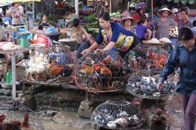 Marché vietnamien aujourd’hui