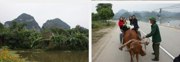 Dans la baie d’Ha Long terrestre