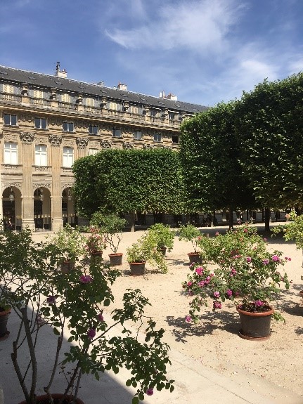 Rosiers au Palais Royal