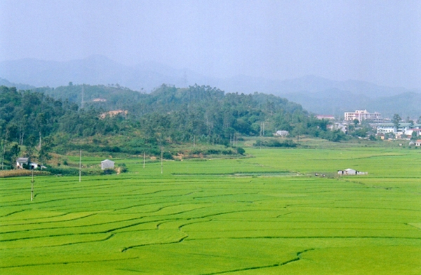 Bac Giang - Vue sur la campagne du haut de la grotte Tam Thanh Dong