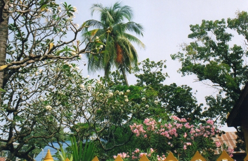 Laos - Petit coin de paradis