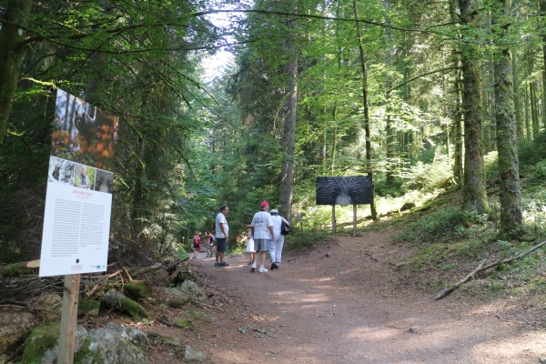 Dans la forêt vosgienne. Exposition de photos sur les animaux sauvages, le long d’un chemin de  randonnée de 4km. Petite rando comparée aux 18km parcourus à Bagas. Le record de Phuong !