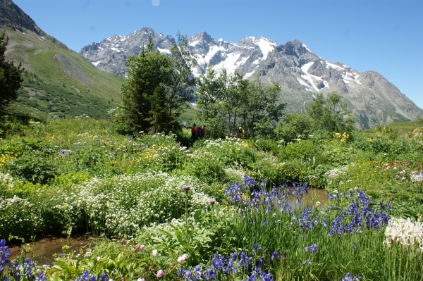 Le massif de Galibier