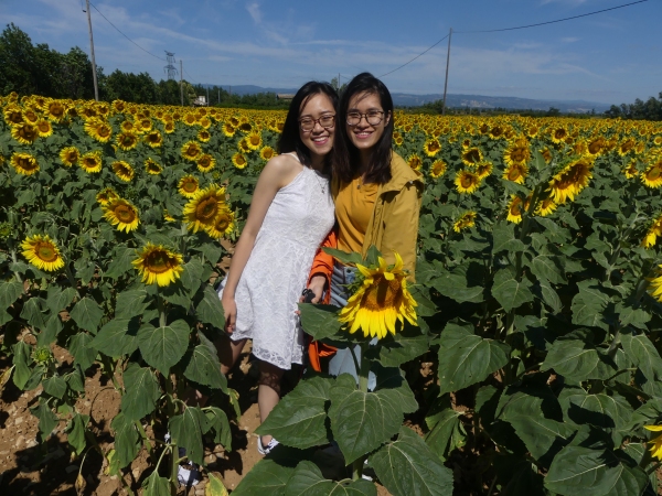 Phuong et Ha au milieu des tournesols