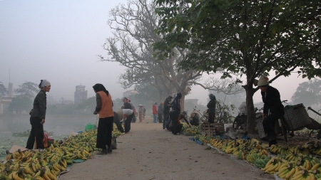 Vendeuses de bananes dans la brume hanoïenne