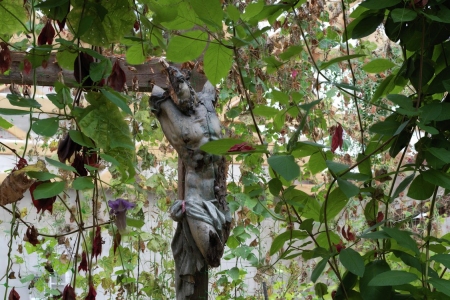 Dans le jardin de Danh VO à Güldenhof, près de Berlin