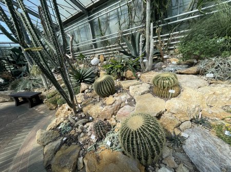 Au Jardin botanique