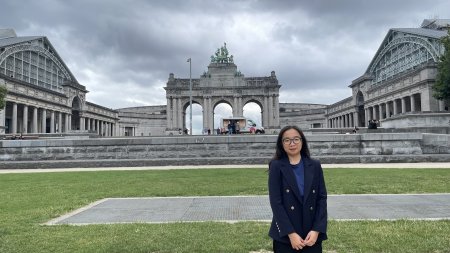 Au Parc du Cinquantenaire