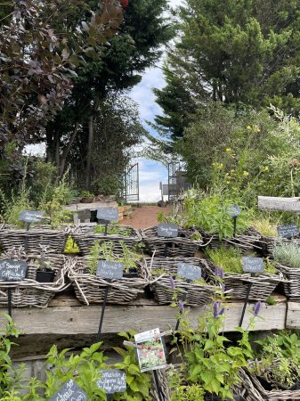 Aux Jardins des Hurlevents – L'entrée au paradis