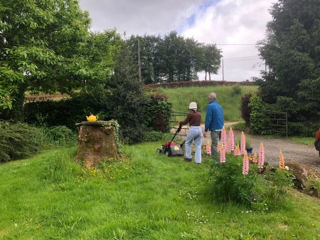 Peut-on imaginer une herbe plus verte qu’en Bretagne ?