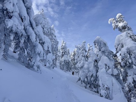 Paysage d'hiver