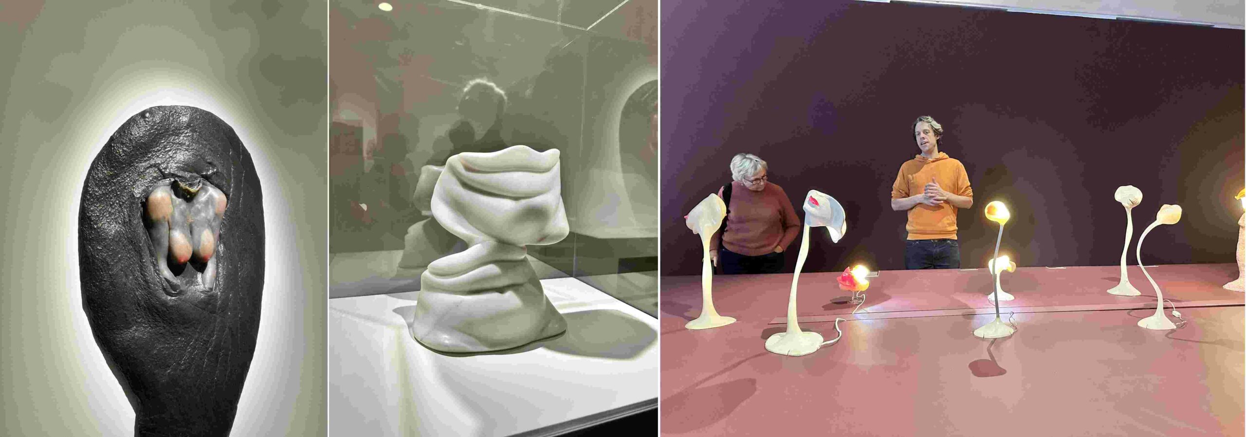 Exposition au musée de Grenoble