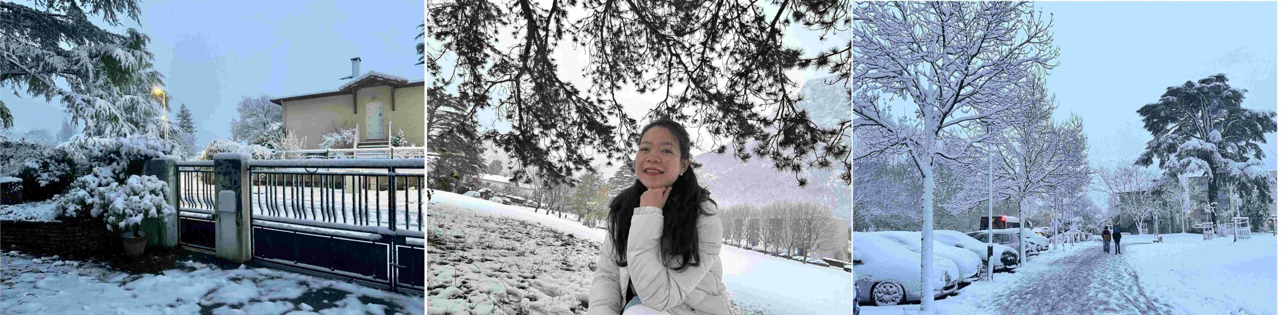 Le jardin au réveil, sous un manteau blanc inattendu. Saint-Égrève transformée après une nuit de neige, un paysage entièrement nouveau, silencieux et lumineux